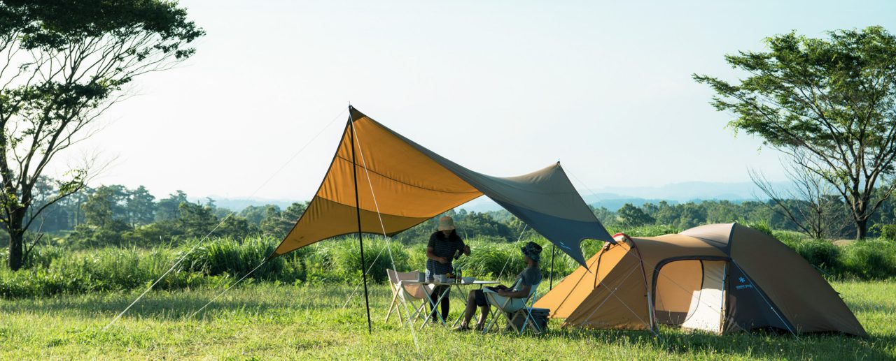 スチールペグ 10本セット 20cm キャンプ アウトドア テント タープ 設営