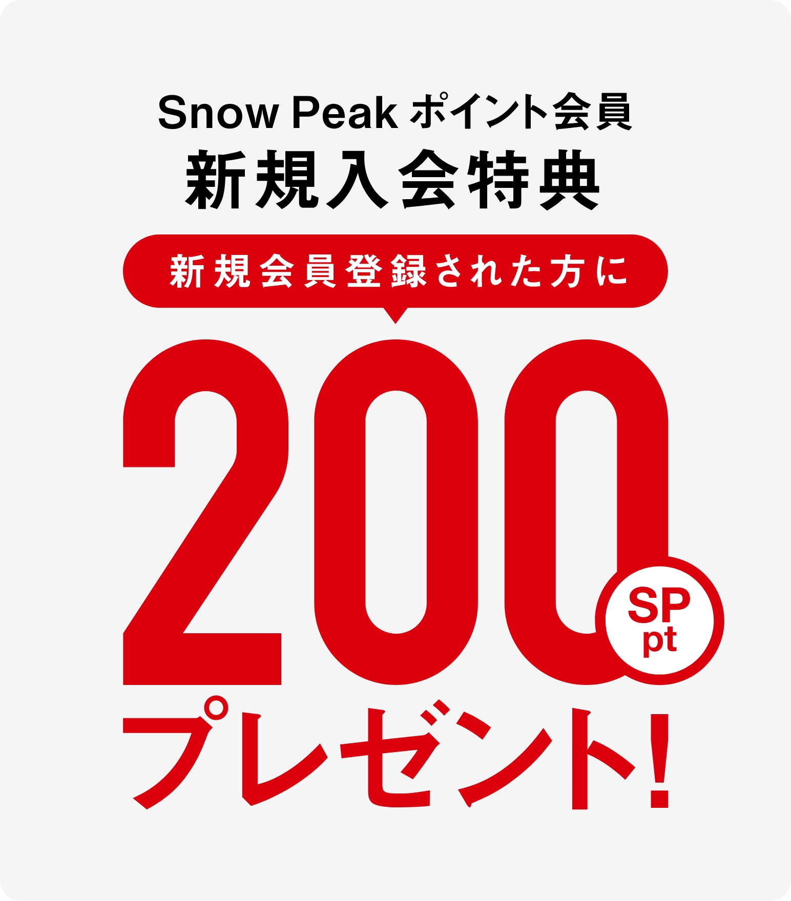 Snow Peak - アルパカストーブ　TS231A ケース付 snow peak 雪峰祭2023秋 タクード フォレストグリーン